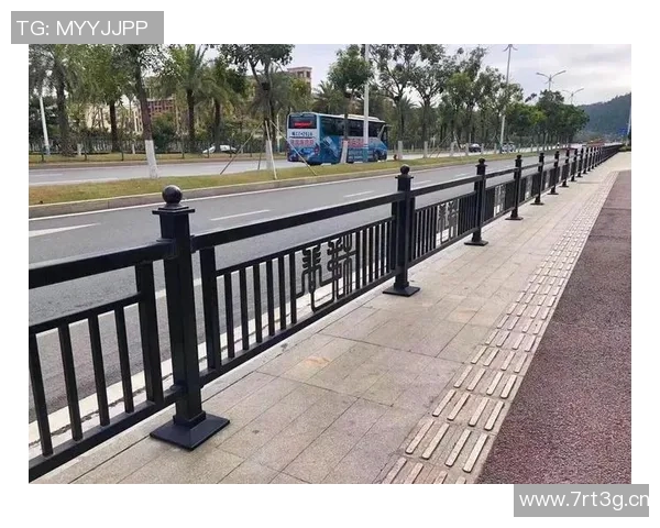 交通护栏在城市道路安全中的重要作用与发展趋势分析